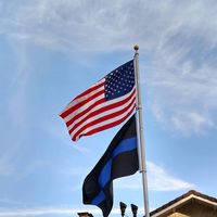 Mary Ann Powers's profile image