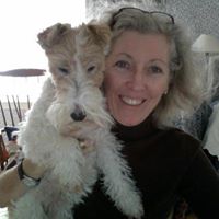 Lisa Zook's profile image