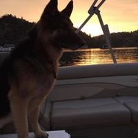 Mark Paulsen's profile image