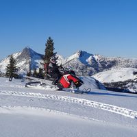 Wally Crum's profile image