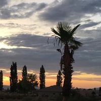 Liz Couch Spearing's profile image