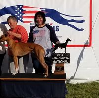 Don Behnke's profile image