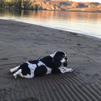 Jennifer Levasseur's profile image