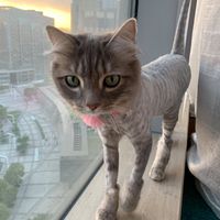 Aaron Moreau-Cook's profile image