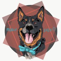 Kymm Wilkie's profile image