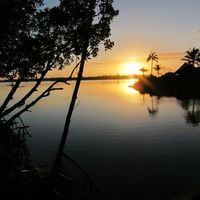 Douglas Phillips's profile image