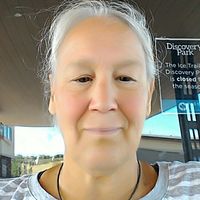 Carol Lambert's profile image