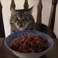 Rick Olson's profile image
