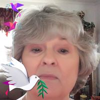 Joyce Pearce's profile image