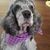 Marilea Johnson's profile image