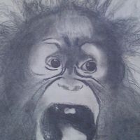 Jeff Fuller's profile image