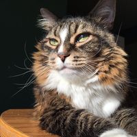 Denise MacPhail's profile image