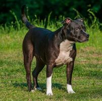 Christen Noblitt's profile image