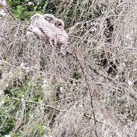 Cheryl Hasior O'Leary's profile image