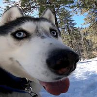 Kaylee Lewis's profile image