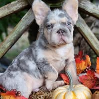 Terri Mathes's profile image