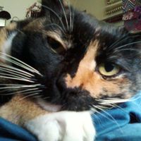 Anamarie Planck's profile image