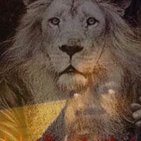 Gavriel Ben Israel's profile image