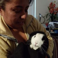 John Bisnett's profile image