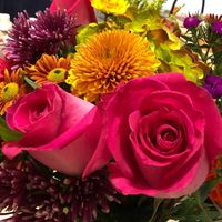 Amy Darnes's profile image