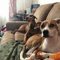 Cathy Farrar's profile image