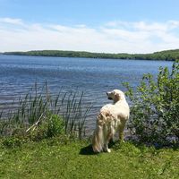 Lorraine Barlow's profile image