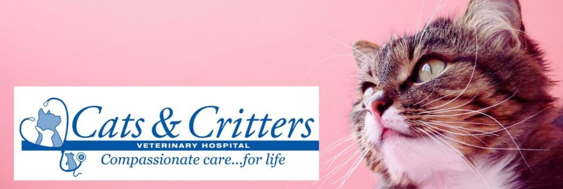 Cats & Critters Veterinary Hospital's cover image