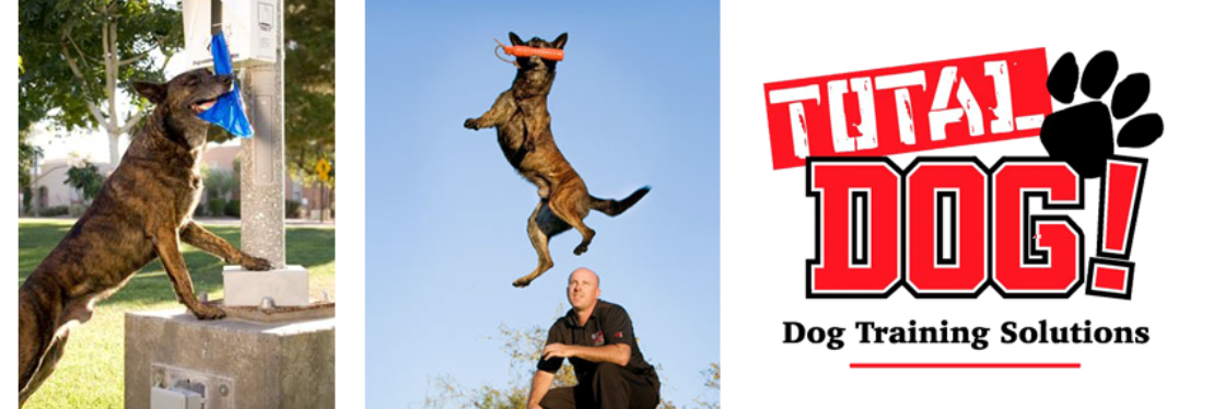 Total Dog! Austin's cover image