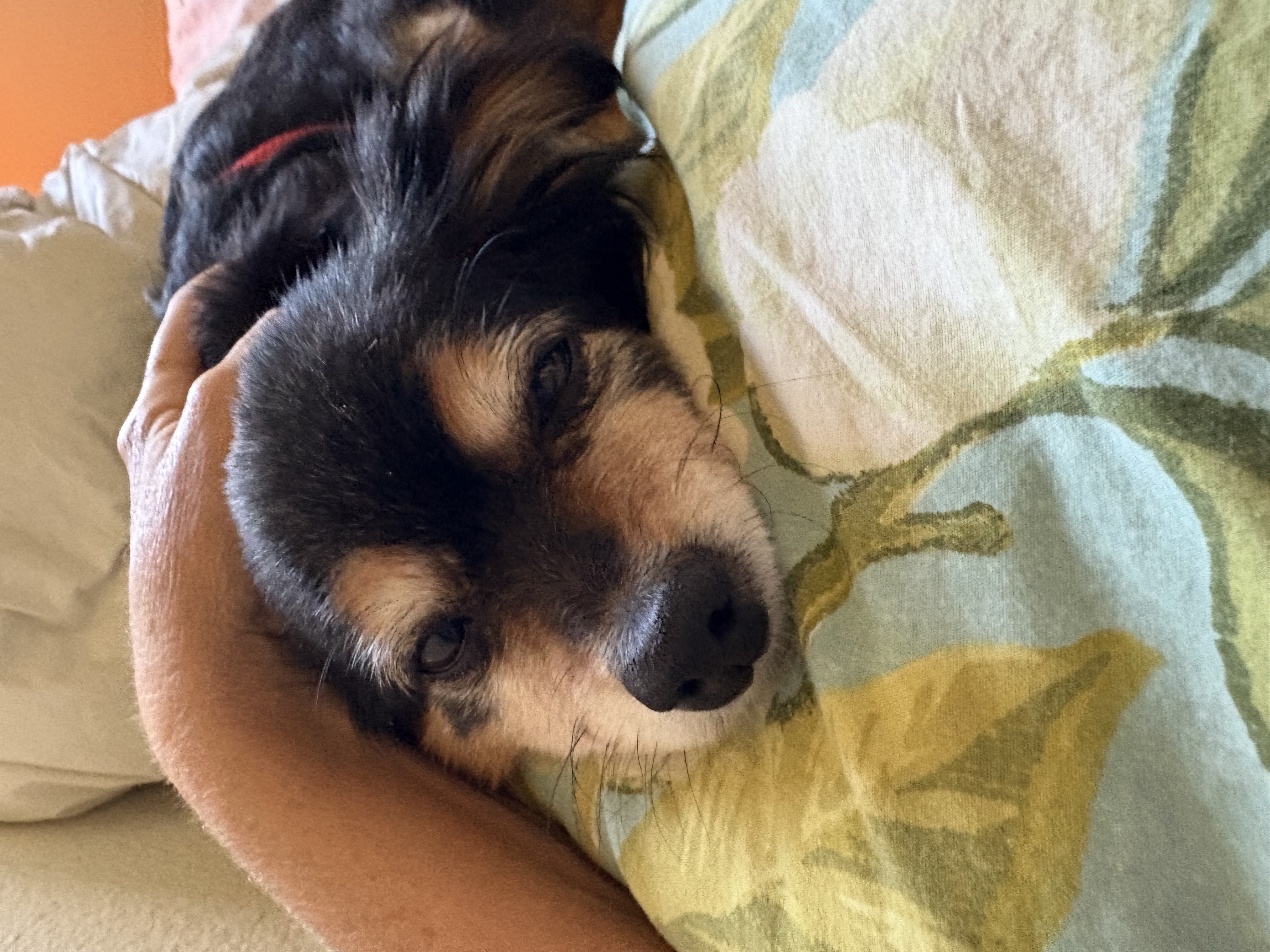 josephine c.'s post 1