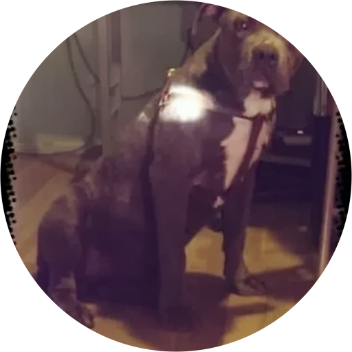Timothy Preciado's profile image