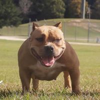 Eric L. Portee's profile image