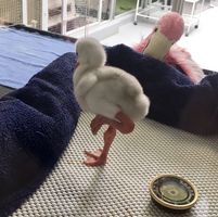 Anthony Serra's profile image