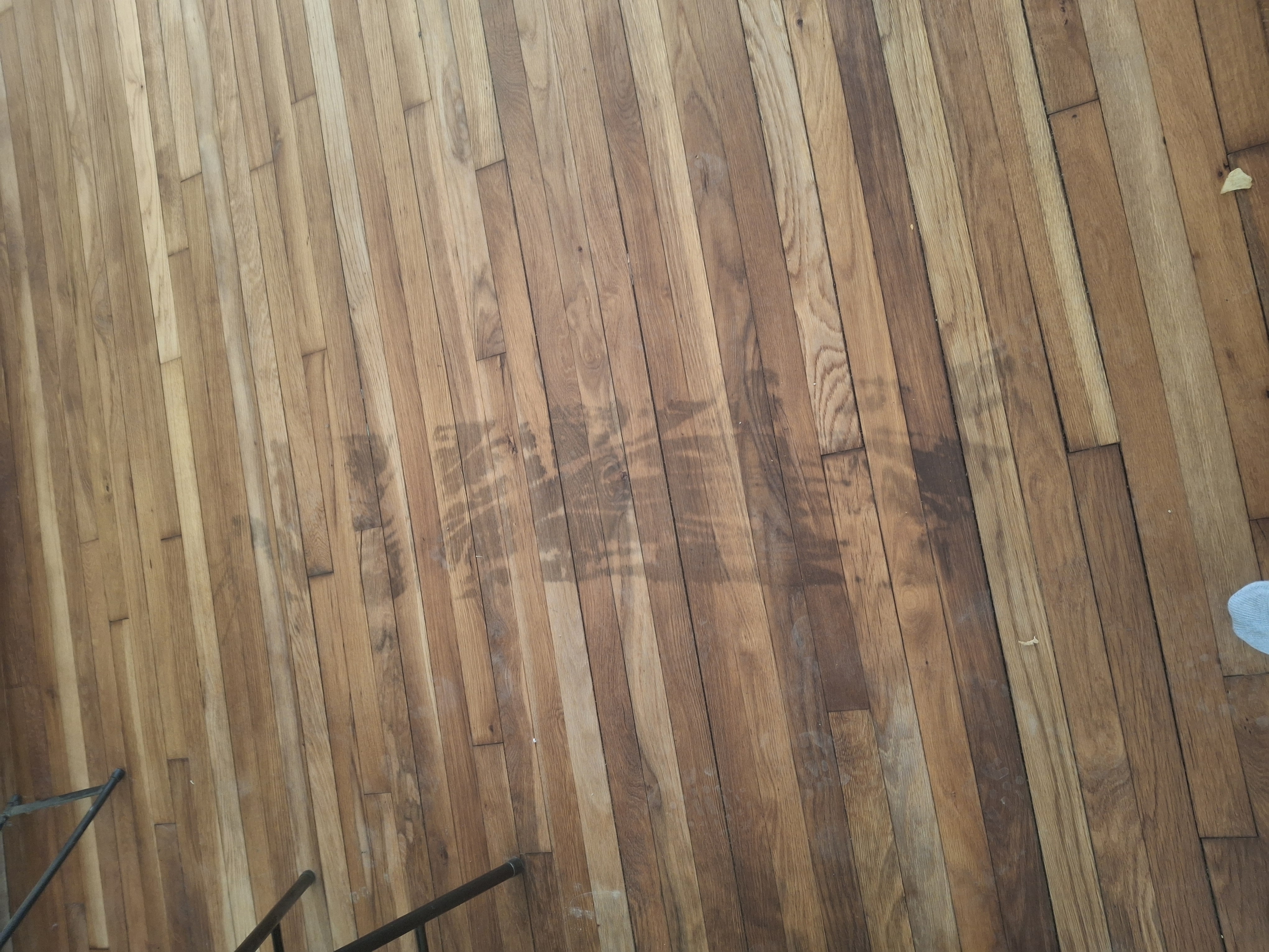 Nwo auto transport l.'s post 4