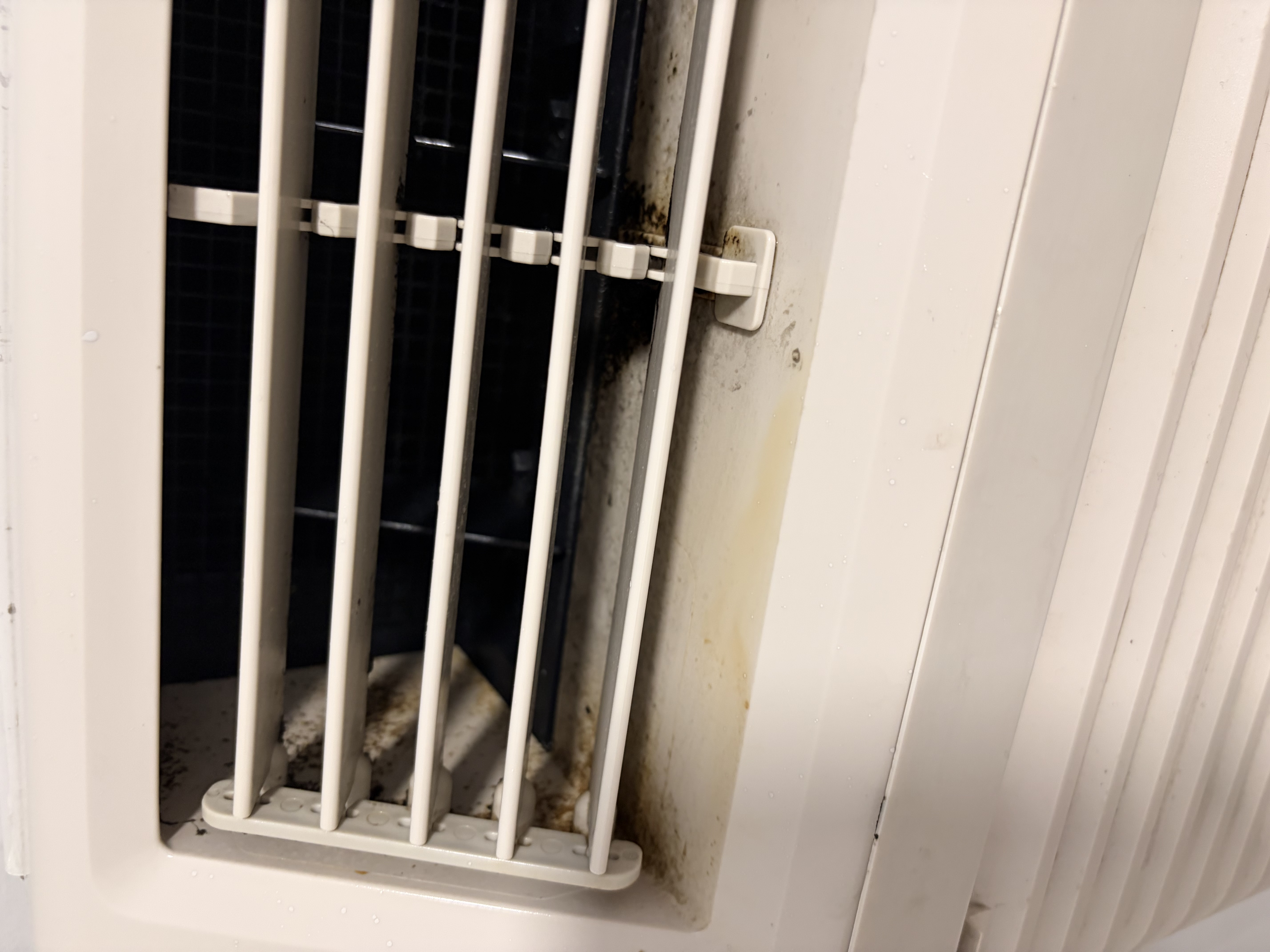 Susan C.'s post 2