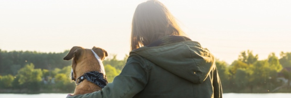 PetVet Wellness Center Reviews, Ratings | Veterinarians near 1000 American Way , Windsor CA United States