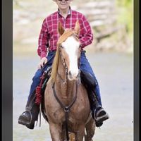 Dennis Shirlen's profile image
