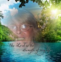 Lori Hollar Brallier's profile image