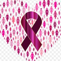 Melinda Norfleet Brown's profile image