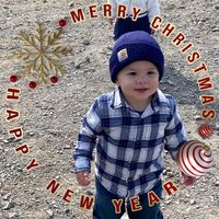 Darnell Vigiletti Wamsley's profile image