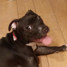 TARIQUE B.'s profile image