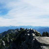 Brian Bosse's profile image