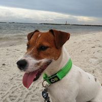 Brett Hayes's profile image