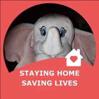 Laura Anderson's profile image