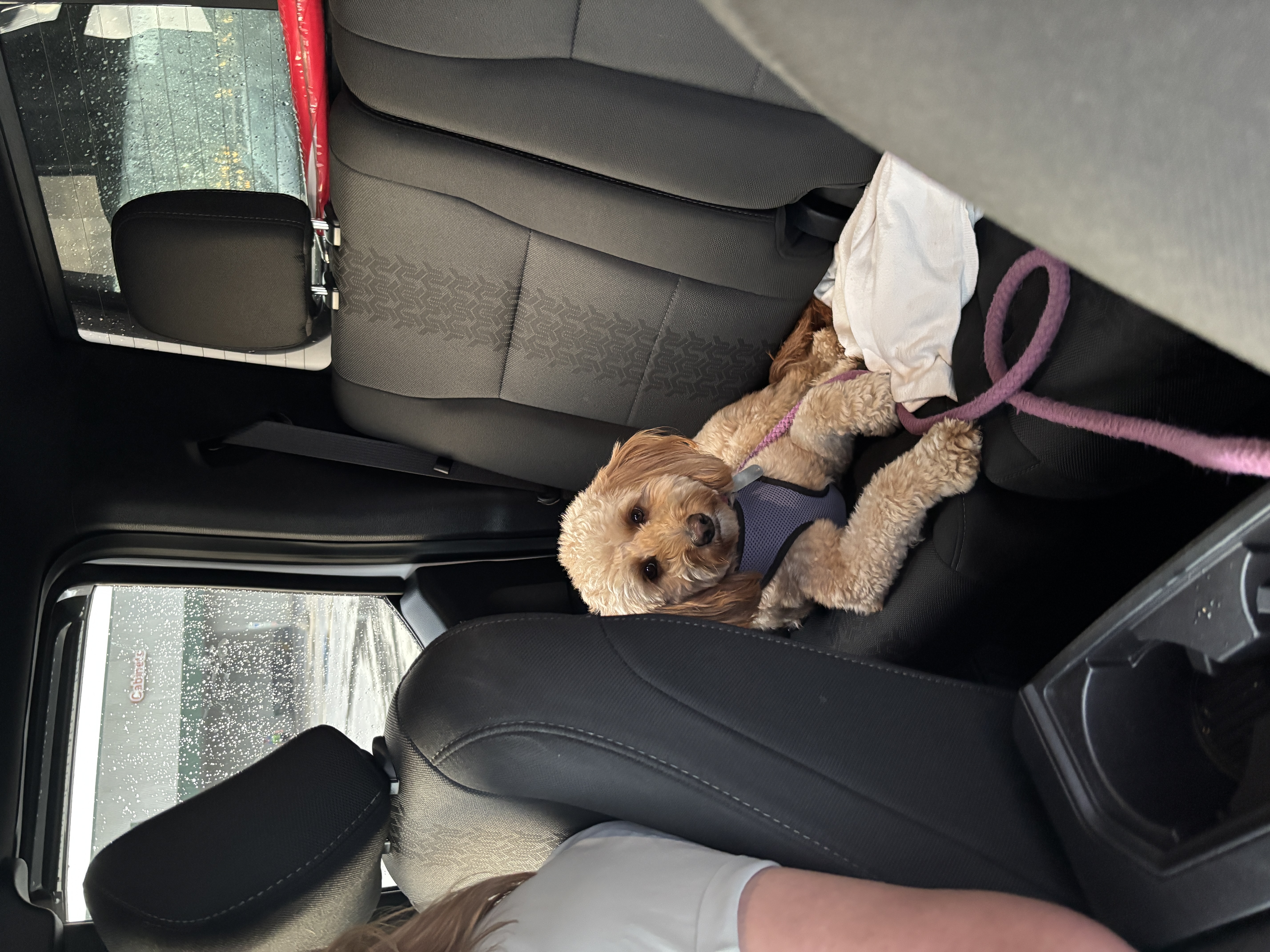 David Stuckey (.'s post 1