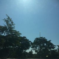 Daniela Nunez's profile image