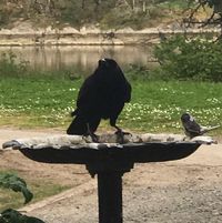 Tony Whyte's profile image