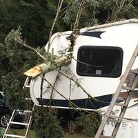 Garry Dodds's profile image