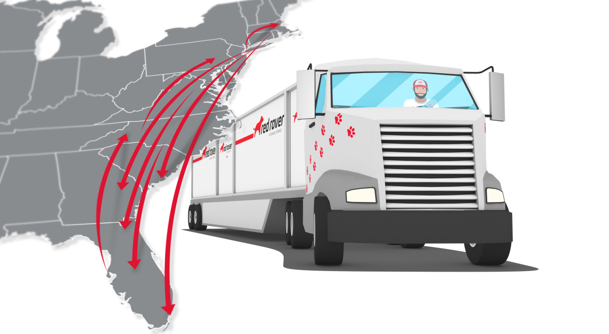 Red Rover Moving & Storage Largo 45 Reviews Movers in Largo, FL Birdeye