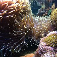 Andrea Frankos's profile image