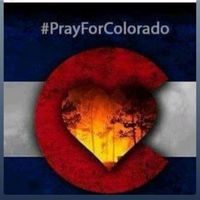 Lori Carter's profile image